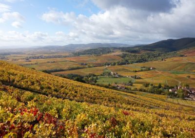 Résidence entre Saône et Beaujolais