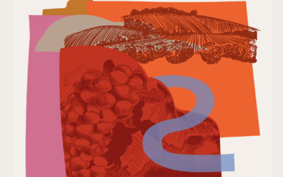 Edito décembre 2025